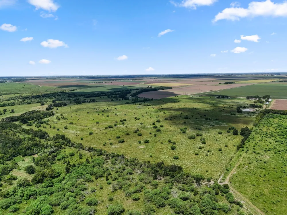 9919 Bohacek Road Beasley, TX 77417