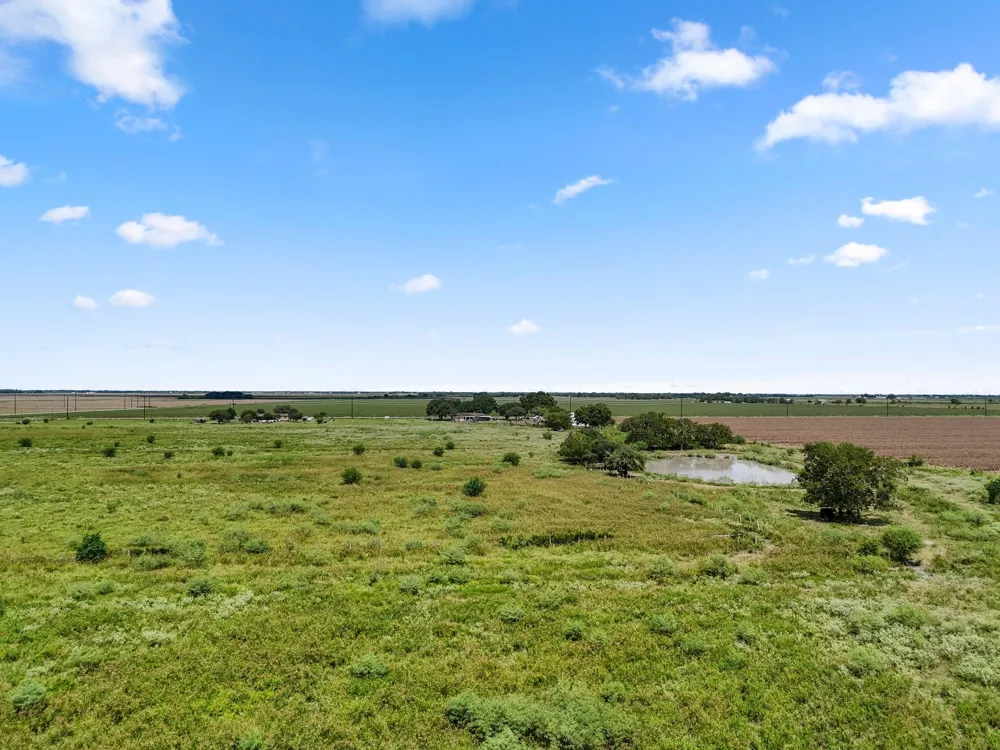 9919 Bohacek Road Beasley, TX 77417