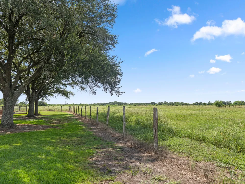 9919 Bohacek Road Beasley, TX 77417