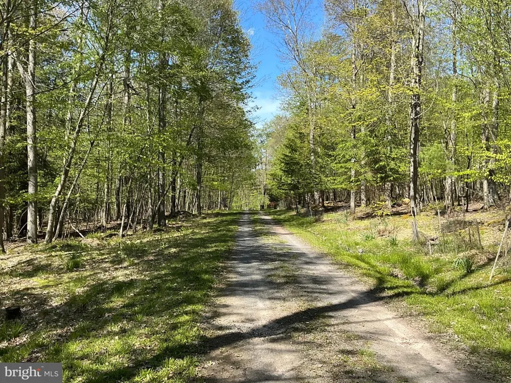 6.89 ACRES WOODLANDS HILL DR DRIVE Oakland, MD 21550
