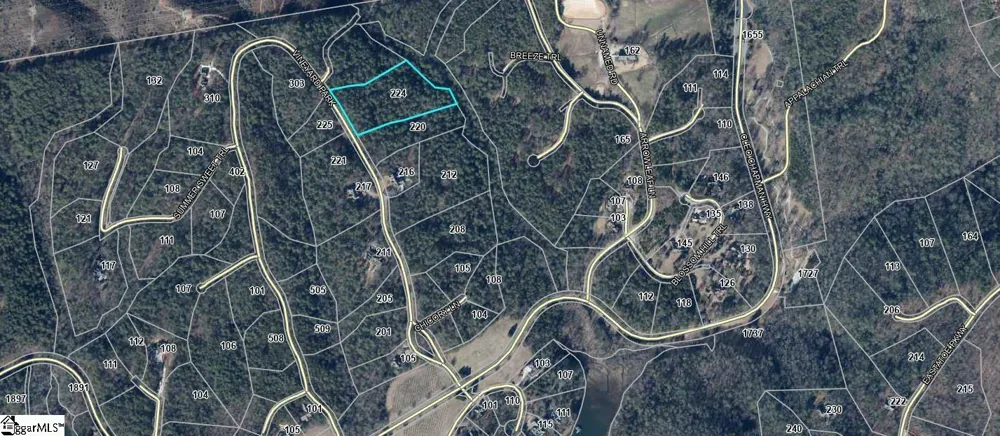 224 Vineyard Park Sunset, SC 29685