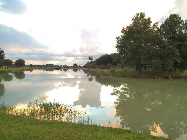 17521 Rose Down Circle Cypress, TX 77429