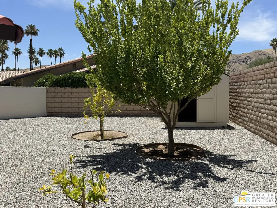 3504 Las Pampas Way Palm Springs, CA 92264