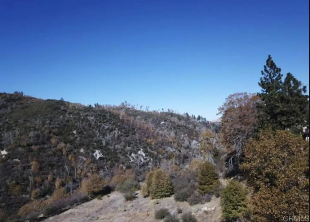 1036 Brentwood Drive Lake Arrowhead, CA 92352