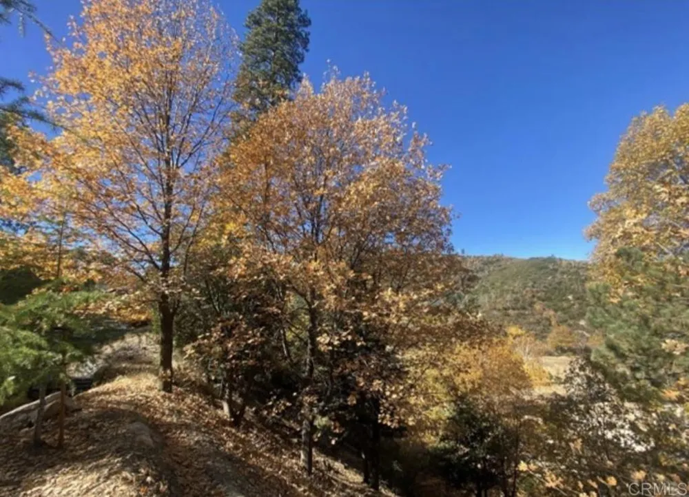 1036 Brentwood Drive Lake Arrowhead, CA 92352