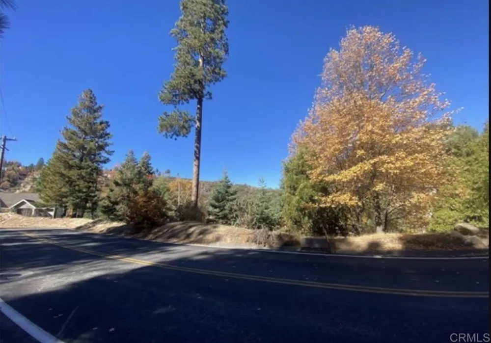 1036 Brentwood Drive Lake Arrowhead, CA 92352