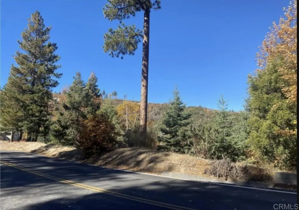 1036 Brentwood Drive Lake Arrowhead, CA 92352