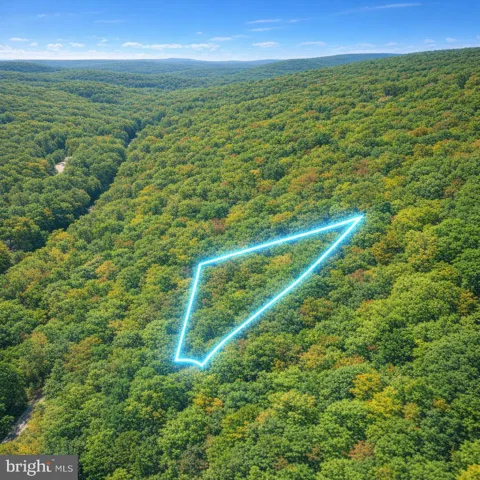 FOREST RIDGE TRAIL