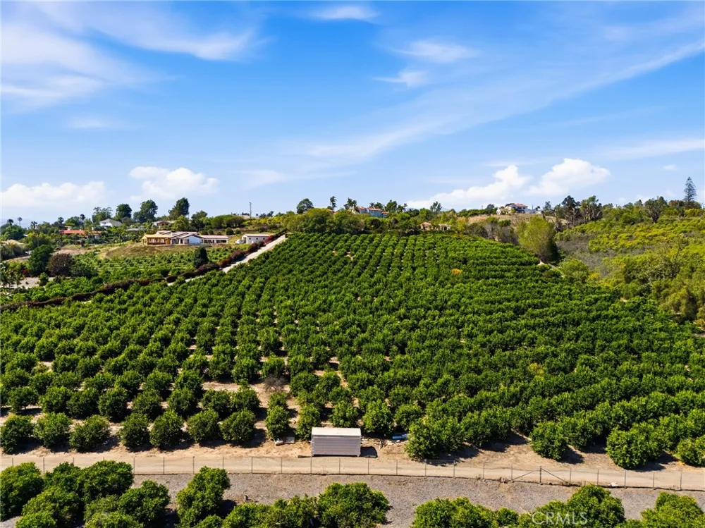 25 Encino Camarillo, CA 93010