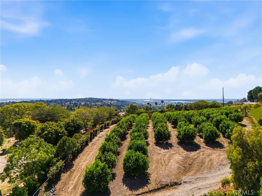 25 Encino Camarillo, CA 93010
