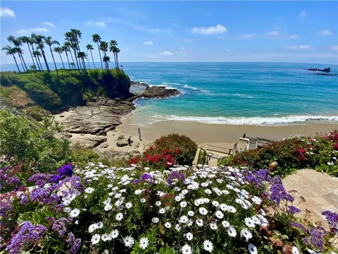 1137 Marine Drive