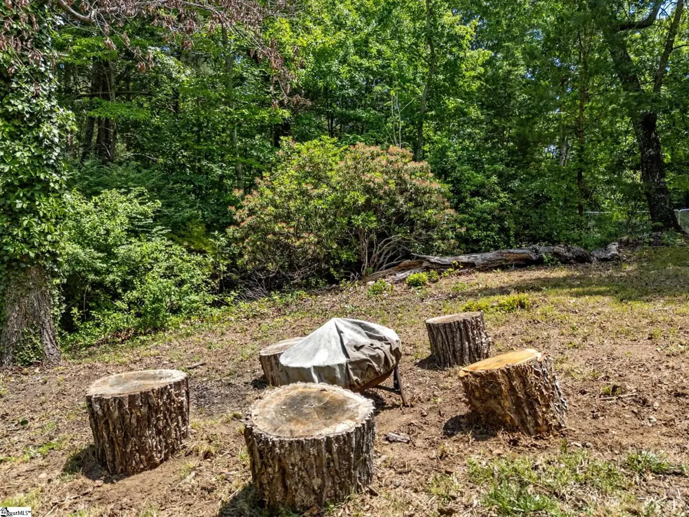707 Dogwood Trail Tryon, NC 28782