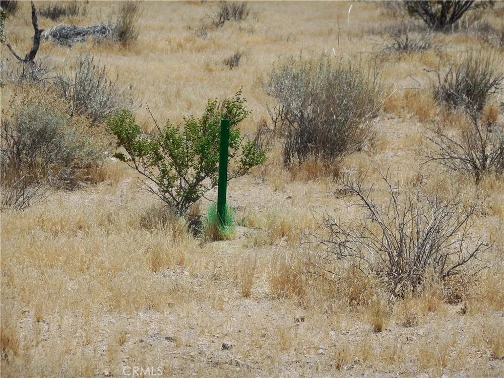 22000 Cattleman Lucerne Valley, CA 92356