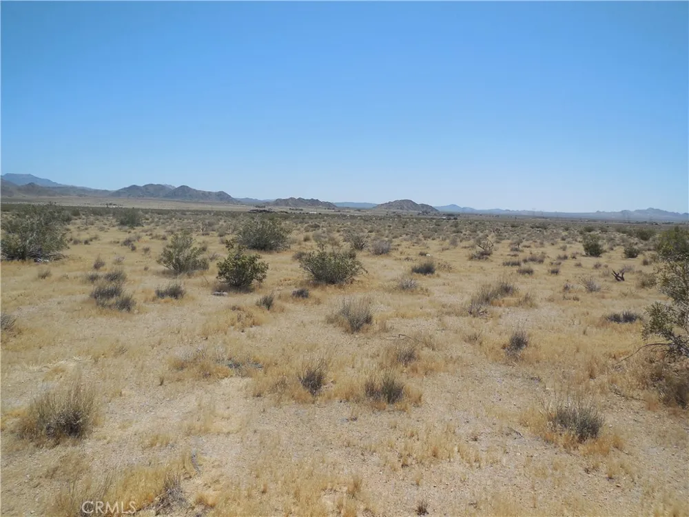 22000 Cattleman Lucerne Valley, CA 92356