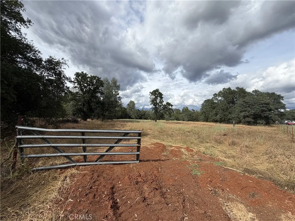 Ophir Road Oroville, CA 95966