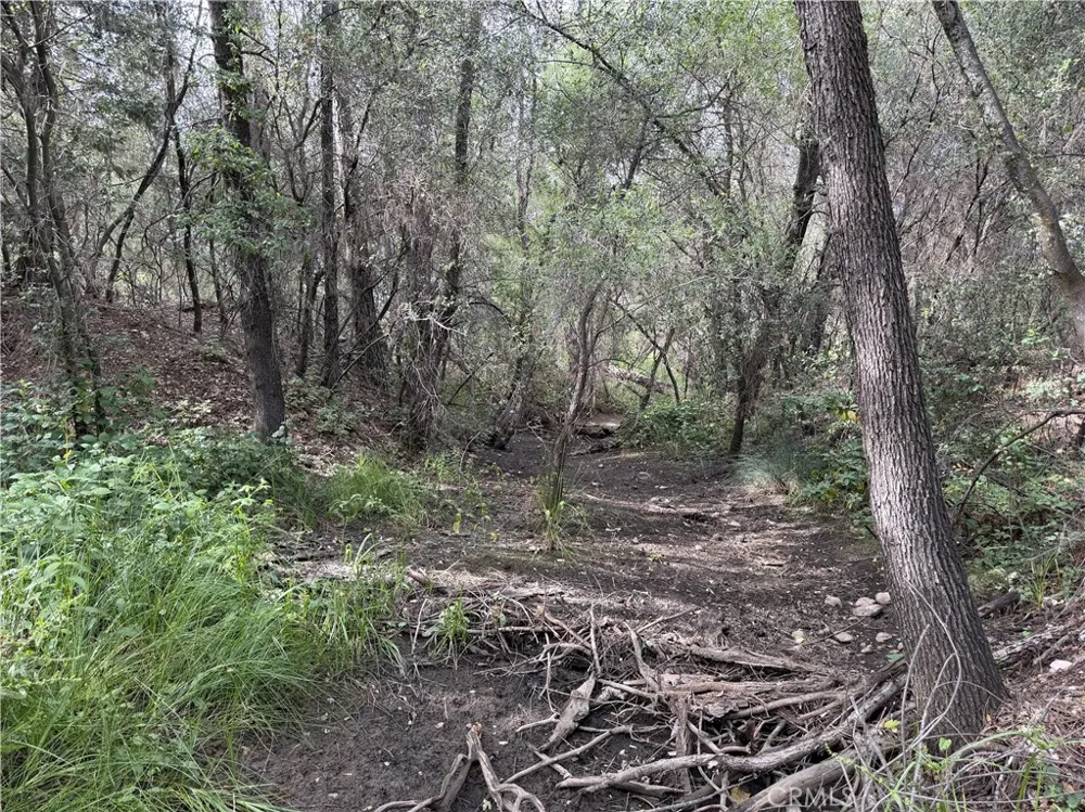 Ophir Road Oroville, CA 95966