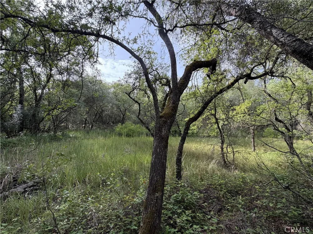 Ophir Road Oroville, CA 95966