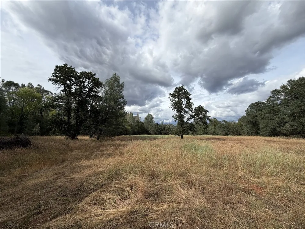 Ophir Road Oroville, CA 95966