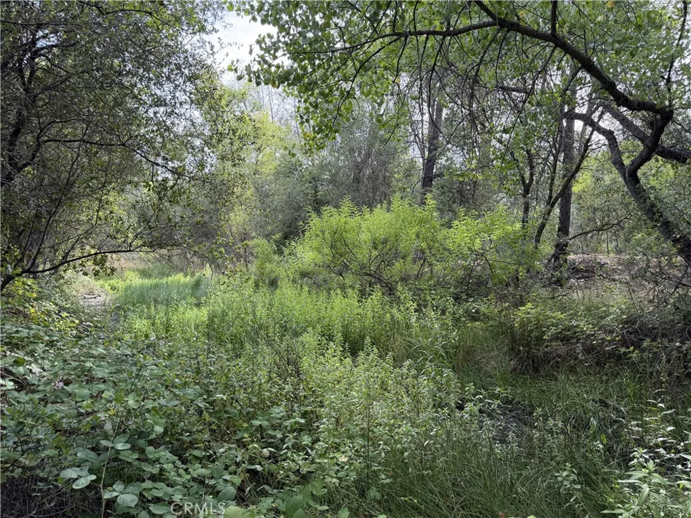 Ophir Road Oroville, CA 95966