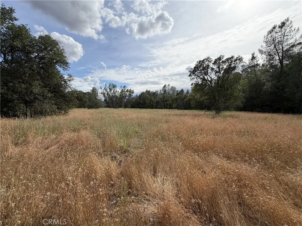 Ophir Road Oroville, CA 95966