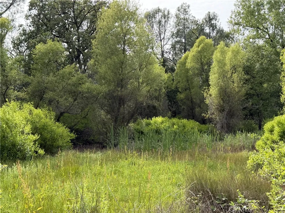 Ophir Road Oroville, CA 95966