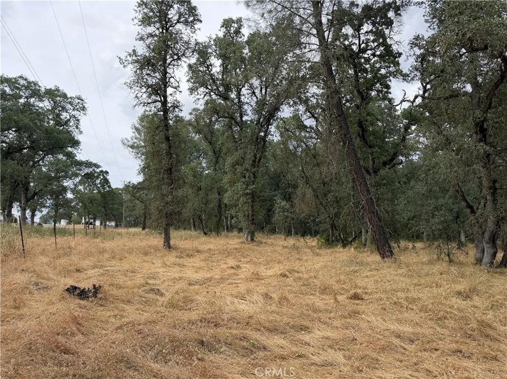 Ophir Road Oroville, CA 95966