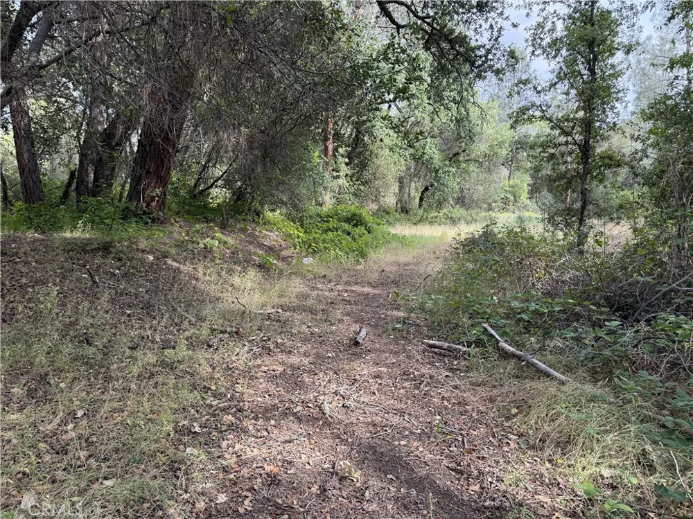 Ophir Road Oroville, CA 95966