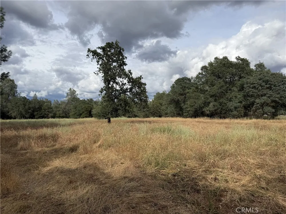 Ophir Road Oroville, CA 95966