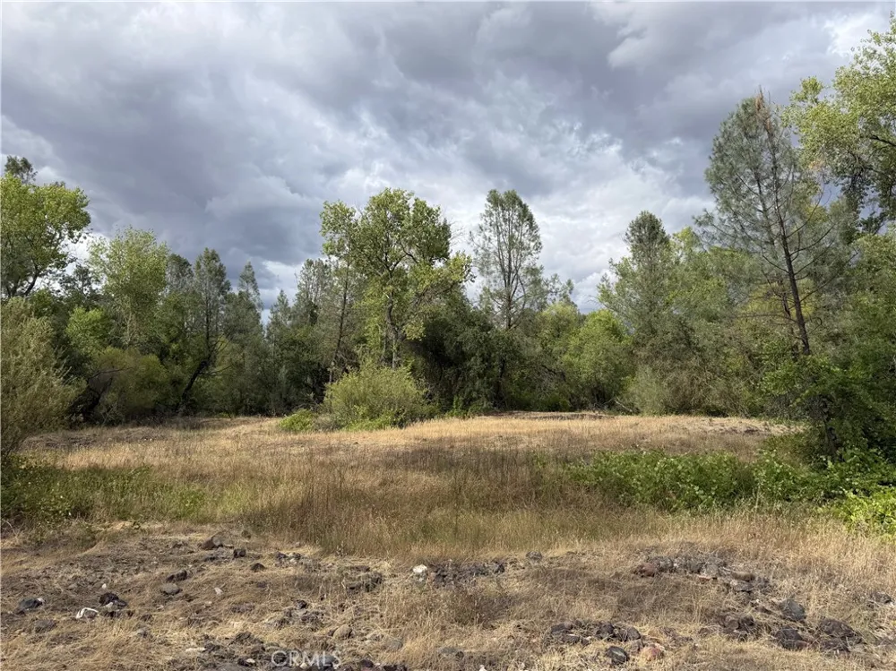 Ophir Road Oroville, CA 95966