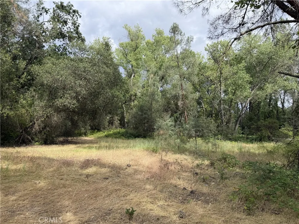 Ophir Road Oroville, CA 95966