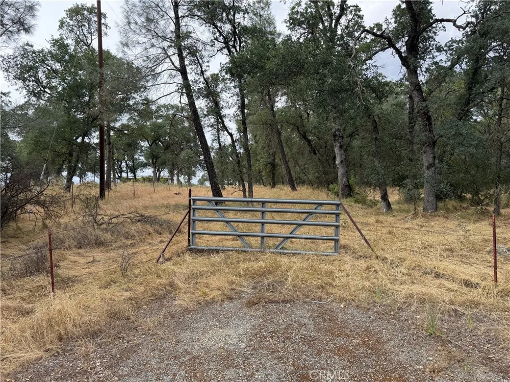Ophir Road Oroville, CA 95966