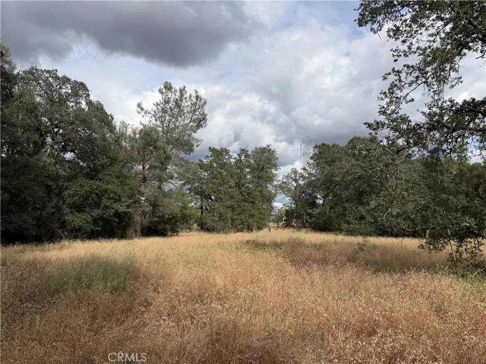 Ophir Road Oroville, CA 95966