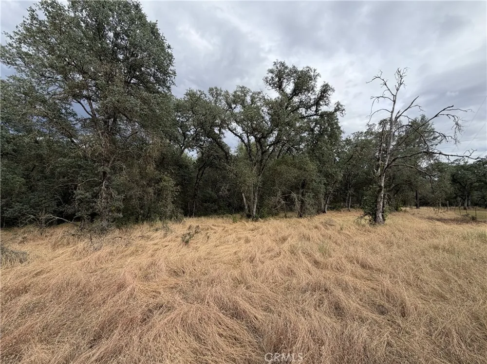 Ophir Road Oroville, CA 95966