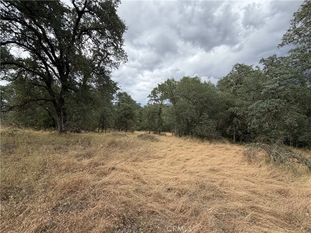 Ophir Road Oroville, CA 95966