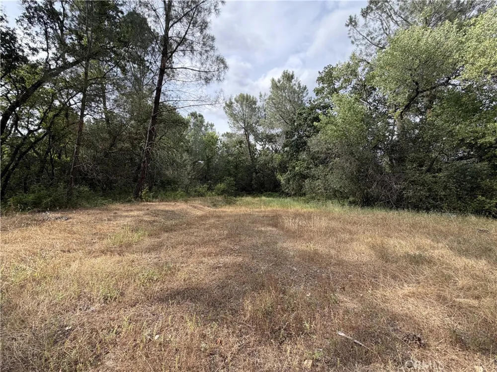 Ophir Road Oroville, CA 95966