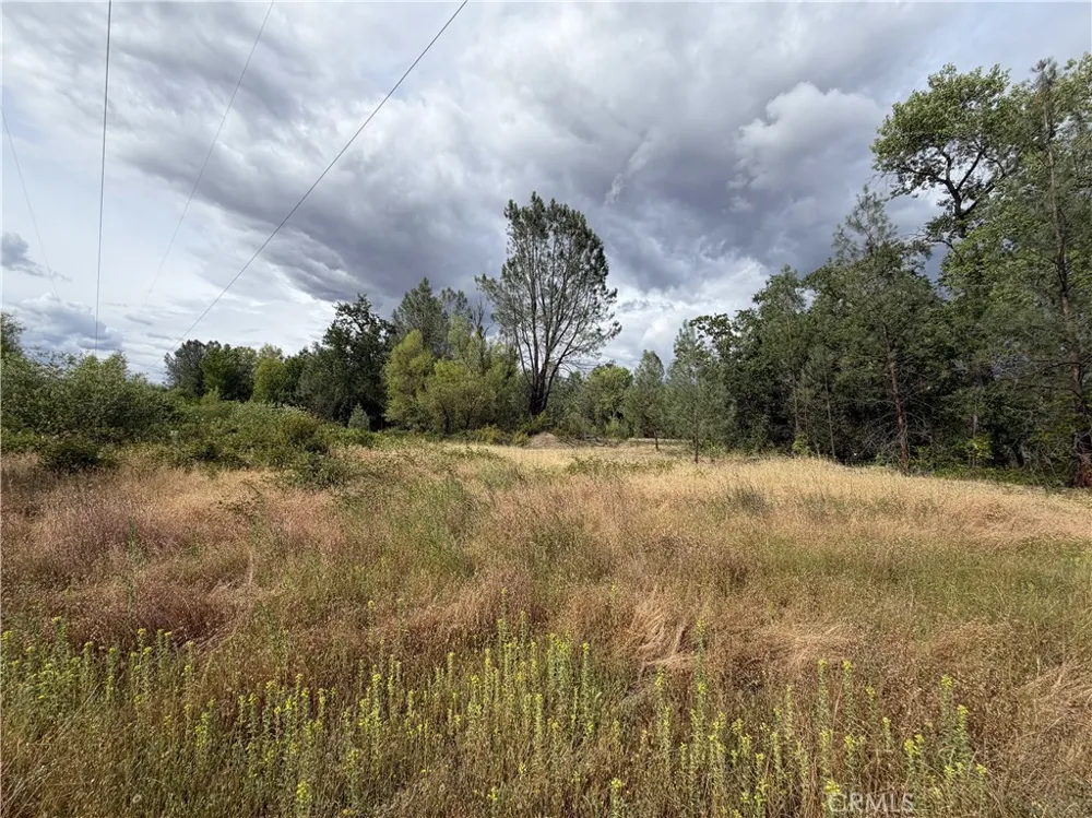 Ophir Road Oroville, CA 95966