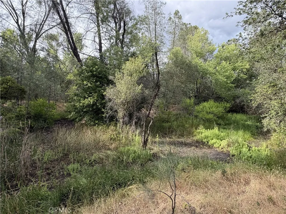 Ophir Road Oroville, CA 95966