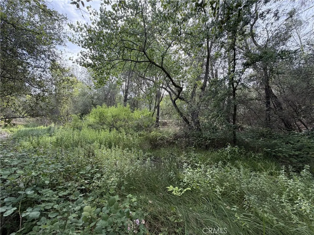 Ophir Road Oroville, CA 95966