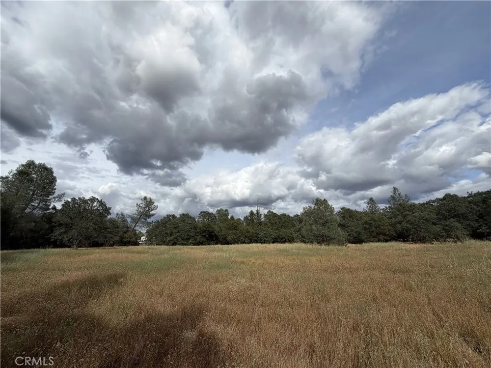 Ophir Road Oroville, CA 95966