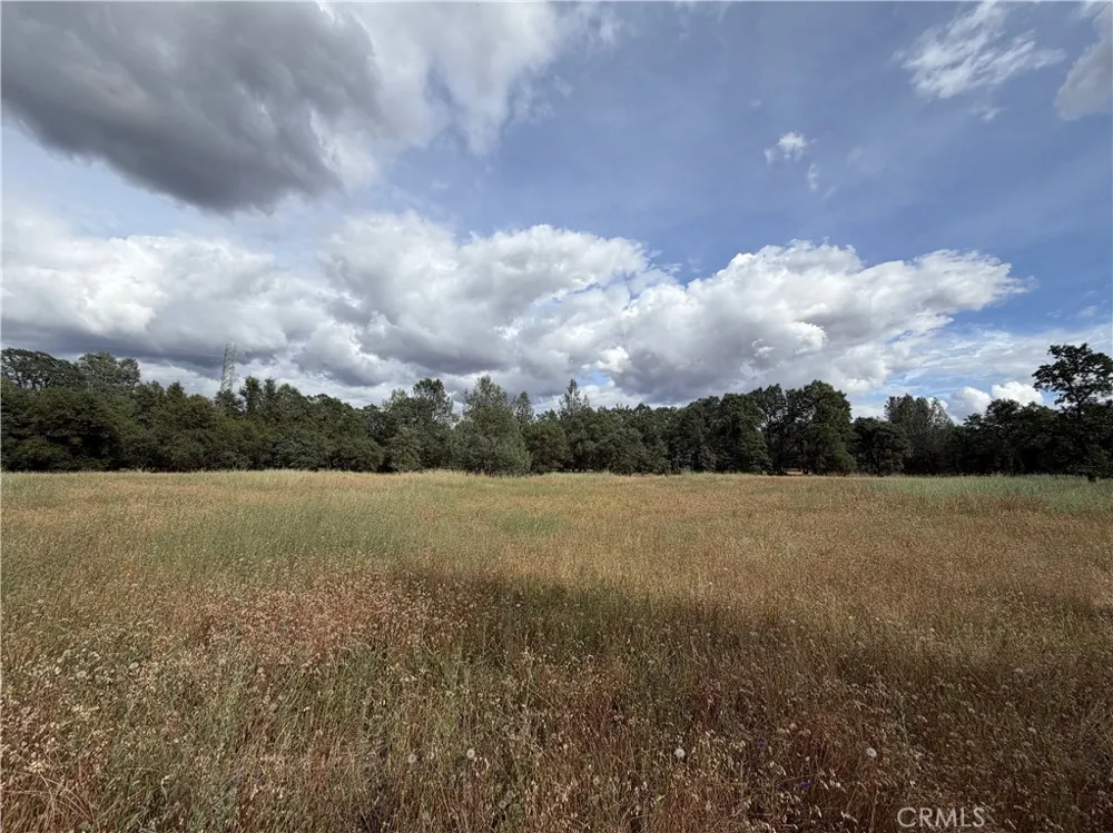 Ophir Road Oroville, CA 95966