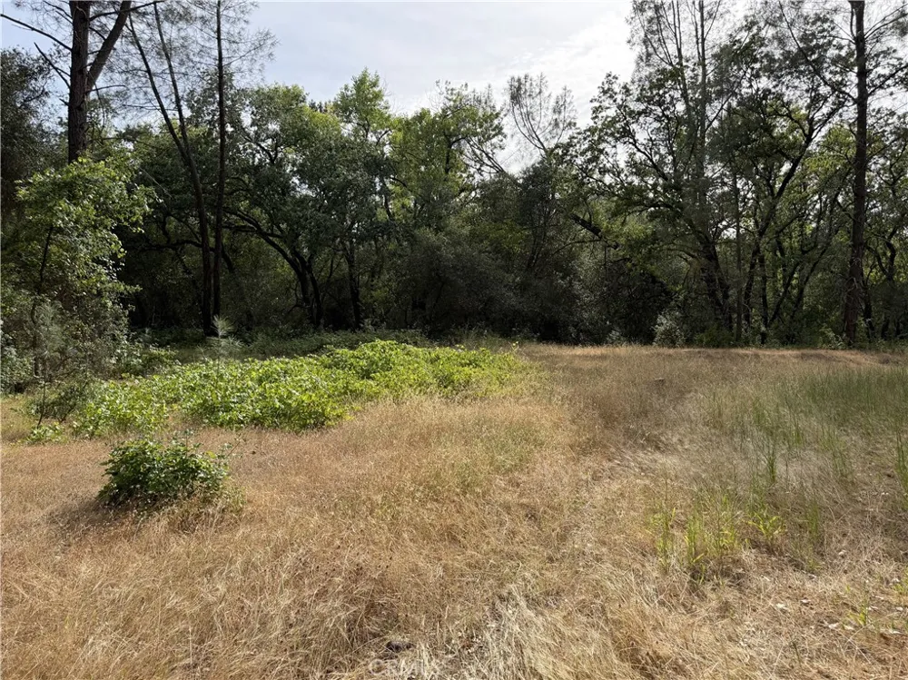 Ophir Road Oroville, CA 95966
