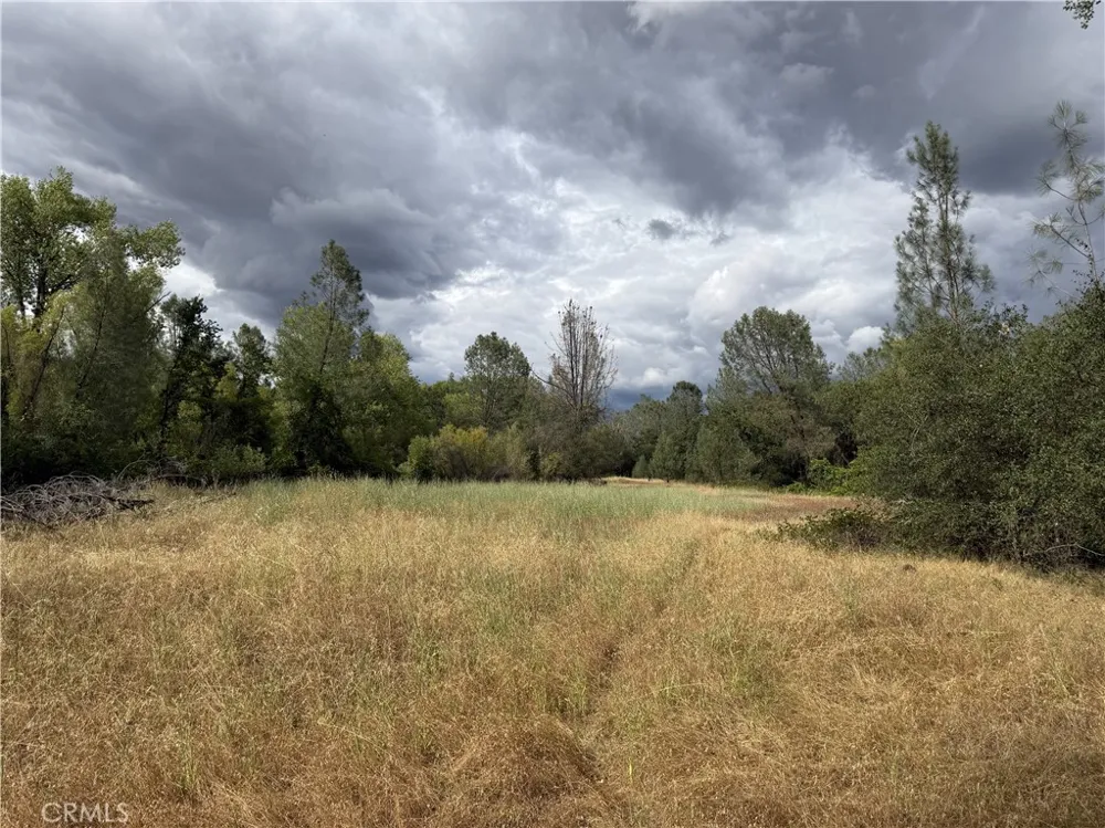 Ophir Road Oroville, CA 95966