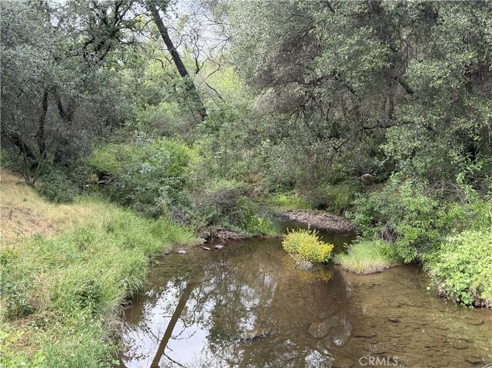 Ophir Road Oroville, CA 95966