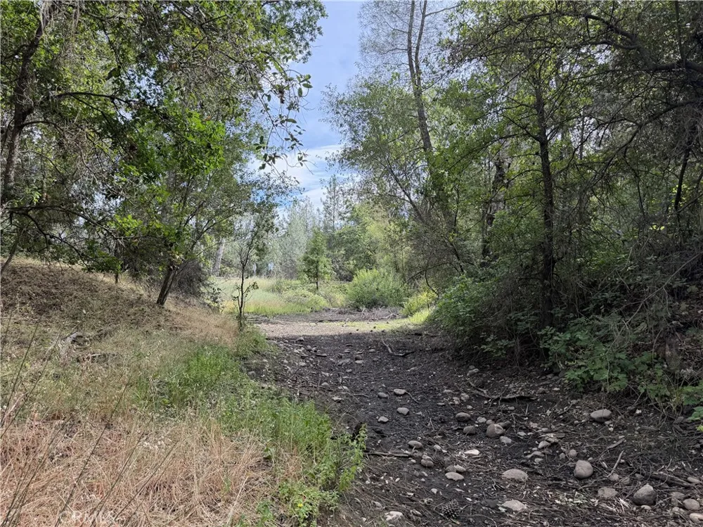 Ophir Road Oroville, CA 95966