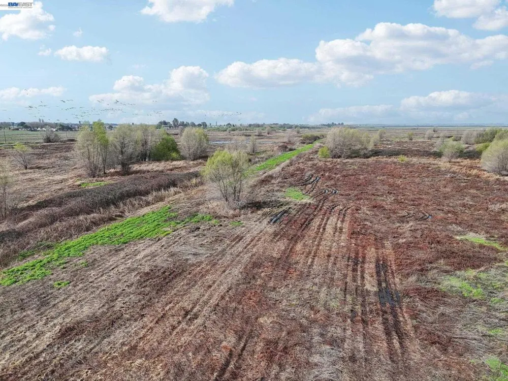 Brannan Isle Rd Isleton, CA 95641