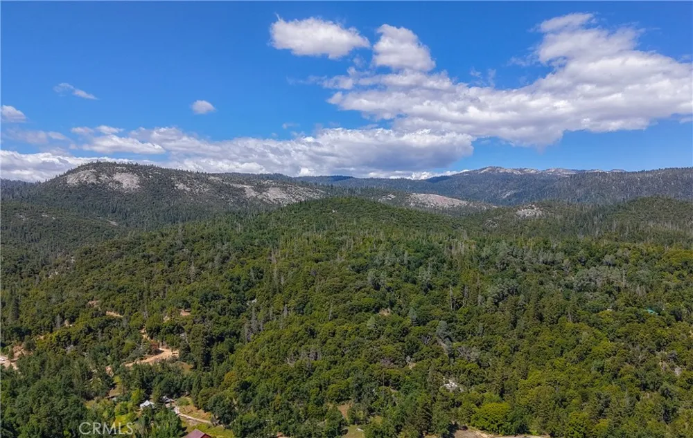 50824 Smoke Tree Trail Bass Lake, CA 93644