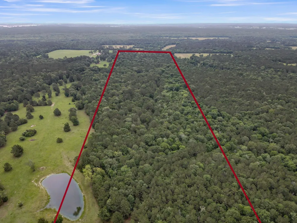276 Walker Loop Huntsville, TX 77340