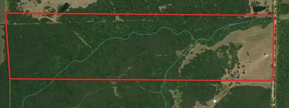 276 Walker Loop Huntsville, TX 77340