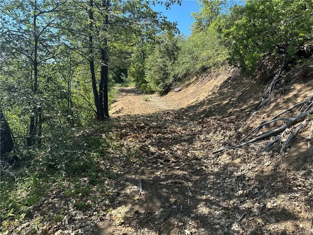 27257 19N16 ROAD Upper Lake, CA 95485