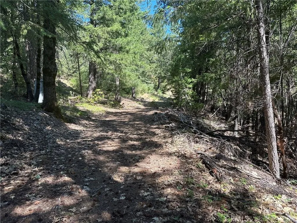 27257 19N16 ROAD Upper Lake, CA 95485